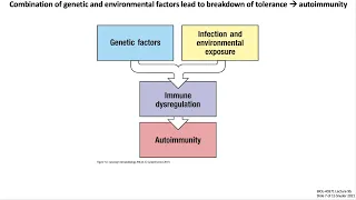 Lecture 9b: Autoimmunity