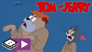 Tom & Jerry Show I Hayvan Barınağından Kaçış | Cartoonito Türkiye