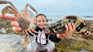 Caught groupers and crabs one after another, a lot of octopuses