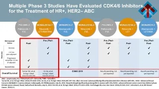 Advanced Breast Cancer: Challenges in Pathways Development