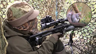 The Airgun Show – sniper-cam squirrel hunt, PLUS how to improve your shooting during the lockdown…