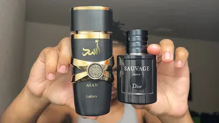 Is THIS The Best CLONE Fragrance? Lattafa Asad