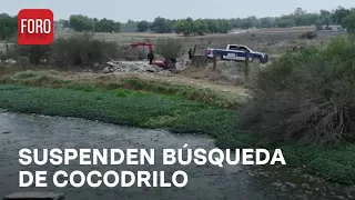 Suspenden búsqueda de cocodrilo en la Laguna La Piedad, Estado de México - Las Noticias