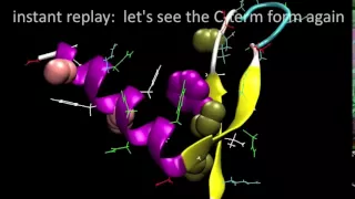 Simulation of millisecond protein folding:  NTL9  (from Folding@home)