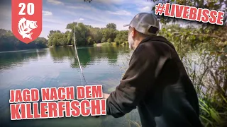 INVASIVE Art TÖTET deutsche KINDER-Fische