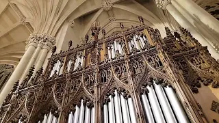 😇 Divine Saint Patrick's Cathedral Organ 🇮🇪 Happy St. Patrick's Day 2022 in New York City 🇺🇸