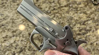 Polishing a stainless steel Bond Arms Snake Slayer lV