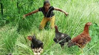 Survival in the forest: Wild chicken egg for dinner- Chicken egg Vs chili sauce Hot food in jungle