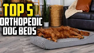 ✅Best Orthopedic Dog Beds in 2023