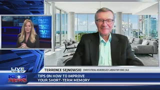 The best tips on how to improve short term memory