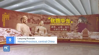 China's best Buddhist grottoes artwork exhibited in Luoyang Museum