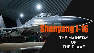 Not as much as the J-7, but the Shenyang J-16 is the mainstay of the PLAAF