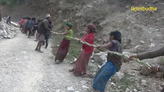 the spirit of himalayan people || lajimbudha || Nepal ||