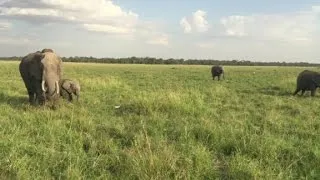 Visiting the Masai Mara National Reserve