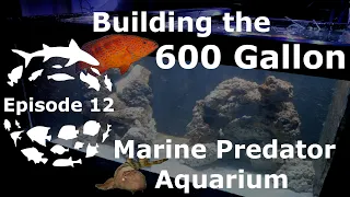 Episode 12 :: Building the DIY 600 Gallon Marine Predator Aquarium