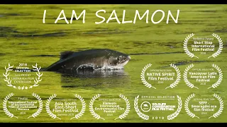 I am salmon