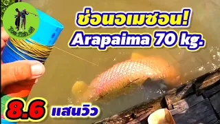 ช่อนอเมซอน ยักษ์! 70 กก. Arapaima 70 Kg.