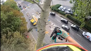 GROS DÉMONTAGE D'UN PEUPLIER AU DESSUS DE LA ROUTE STIHL 500I