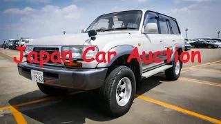 Japan Car Auction | 1995 Toyota Land Cruiser 4.2 Turbo Diesel Active Vacation Edition