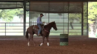 Brandon Cullins   Starting Your Horse on the Pattern