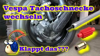 Vespa Tachoschnecke / Ritzel tauschen, ausbauen | PK XL2 | DIY Anleitung