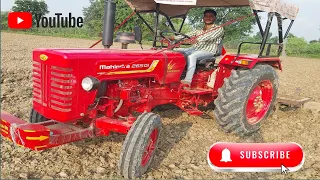 Mahindra 265 DI Cultivator Performance !! महिन्द्रा 265 DI Cultivator Performance !