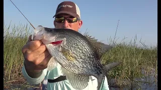 Crappie fishing in the thickest brush imaginable!!! {Catch Clean Cook}