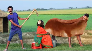 Must Watch Watermelon Chor New Trending Comedy Video 2024 😂 Cow Milking Funny Video Episode 303