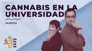 CANNABIS EN LA UNIVERSIDAD / MAÑANERO EL MATINAL