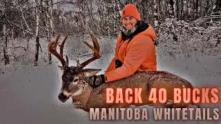 BIG BUCK DOWN | Manitoba Whitetail Hunting