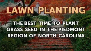 The Best Time to Plant Grass Seed in the Piedmont Region of North Carolina