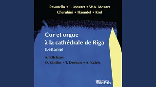 Concerto pour cor en Ré Majeur: I. Allegro moderato
