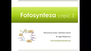 Fotosyntezacz3