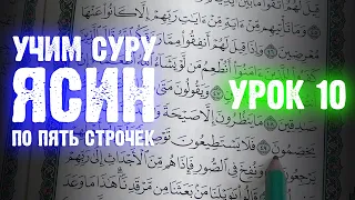 Урок 10 - Учим "ЯСИН" (по пять строчек) / 36-я сура Корана