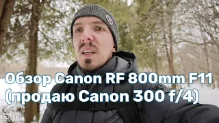 Обзор Canon RF 800mm F11 IS STM (продаю Canon EF 300mm f/4L IS USM)