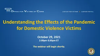 Understanding the Effects of the Pandemic for Domestic Violence Victims
