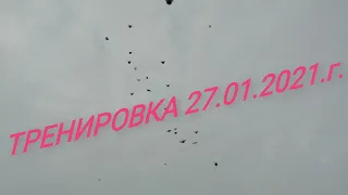 " ГОЛУБИ - ТРЕНИРОВКА " 27.01.2021.г.