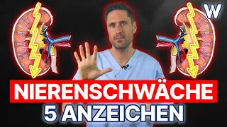 Nierenschwäche: 5 Anzeichen, dass Deine Nieren nicht richtig funktionieren | Typische Symptome