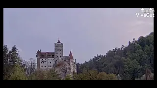 Count Dracula spotted leaving the Castle May 15 2021