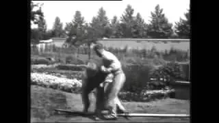 L'arroseur arrosé (The Sprinkler Sprinkled) Film 1895