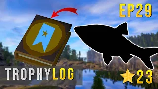 Russian Fishing 4 TROPHY LOG EP 29 - FIRST BLUE TAG TROPHY #rf4 #russianfishing4