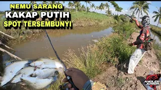 NEMU SARANG IKAN KAKAP DI SPOT TERSEMBUNYI