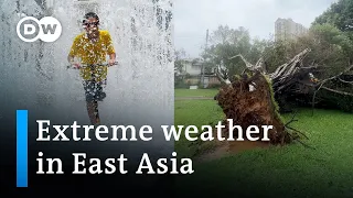 Heatwave in South Korea, typhoon in China | DW News