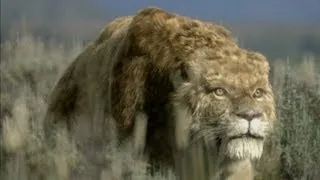 Sabre-Tooth Cat: Predator by Design - Ice Age Giants - Episode 1 Preview - BBC Two