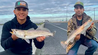 Wintertime BRIDGE Fishing for Speckled Trout!(Corpus Christi,Tx)