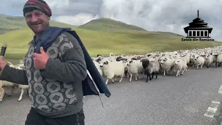 🇷🇴 Parcul Natural Bucegi România 🇷🇴