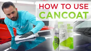 20 minutes to coat your ENTIRE car?! | The BEST way to use Gyeon Can Coat