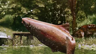 Ultimate Fishing Simulator - Cinematic Trailer