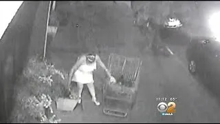 Caught On Camera: Woman Steal's Bakery's Flowers