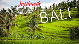 Jatiluwih, Bali - The Best Rice Terraces Away from Tourists